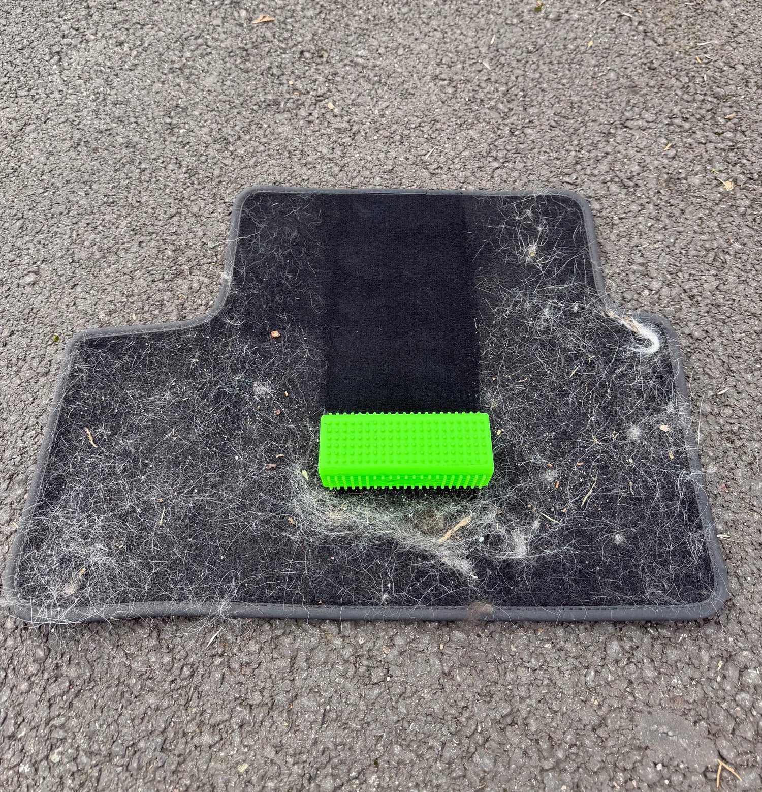 Brosse anti-poils Voiture